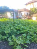 Продава  Къща област Кюстендил , с. Багренци , 80 кв.м | 33227991 - изображение [4]
