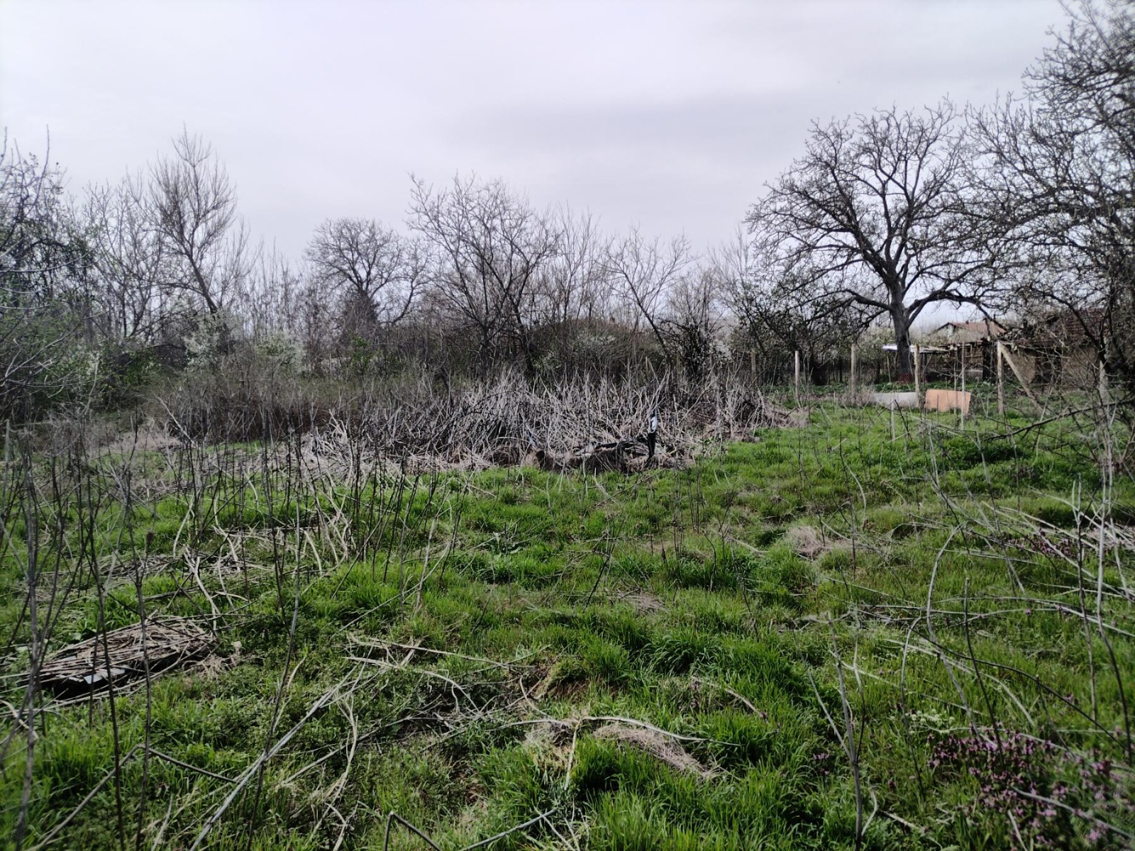 Продава ПАРЦЕЛ | Imot.bg — изображение 1