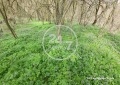 Продава КЪЩА, област Варна, с. Ботево • 27000 € • 77414576 — Holmes.bg