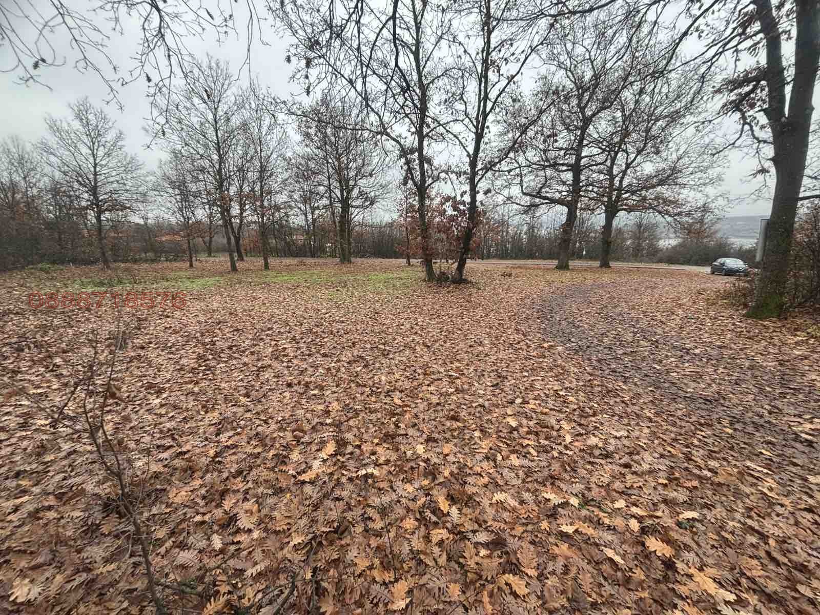 ������� ������ | Imot.bg � ����������� 8