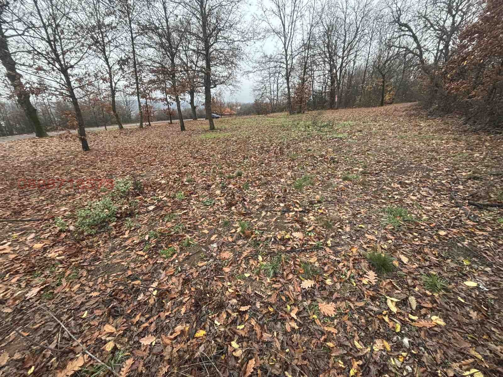 ������� ������ | Imot.bg � ����������� 7