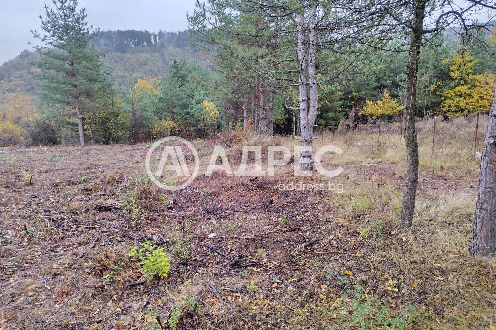 ������� ������ | Imot.bg � ����������� 1