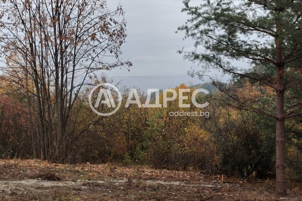 ������� ������ | Imot.bg � ����������� 3