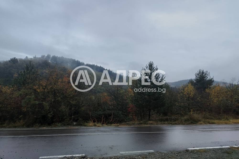 ������� ������ | Imot.bg � ����������� 4