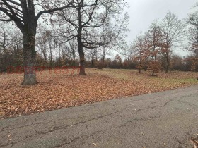 ������� ������ | Imot.bg � ����� ������ 5