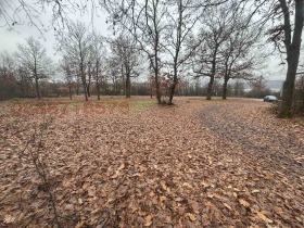 ������� ������ | Imot.bg � ����� ������ 8