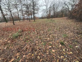 ������� ������ | Imot.bg � ����� ������ 7