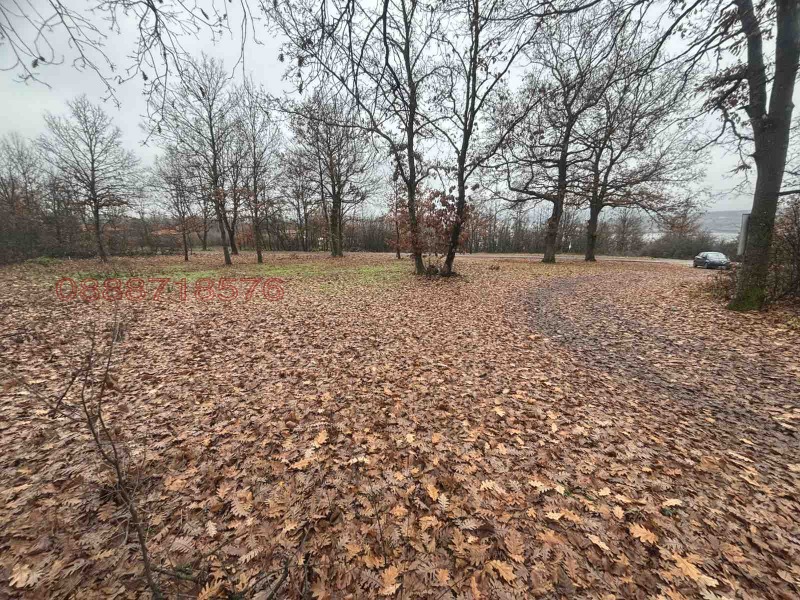 Продава ПАРЦЕЛ, гр. Монтана, Огоста, снимка 8 - Парцели - 52783574