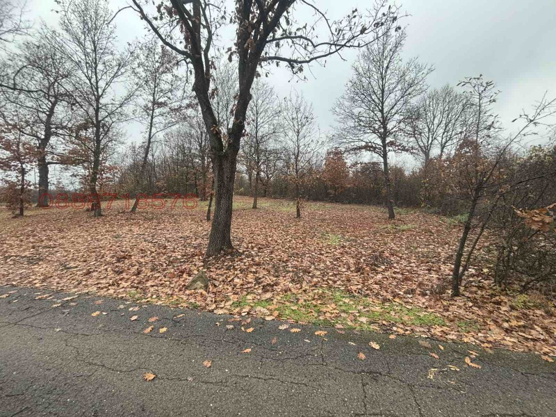 Продава ПАРЦЕЛ, гр. Монтана, Огоста, снимка 6 - Парцели - 52783574