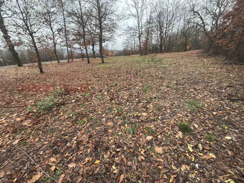 Продава ПАРЦЕЛ, гр. Монтана, Огоста, снимка 7 - Парцели - 52783574