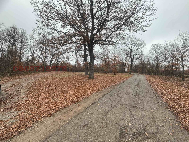 Продава ПАРЦЕЛ, гр. Монтана, Огоста