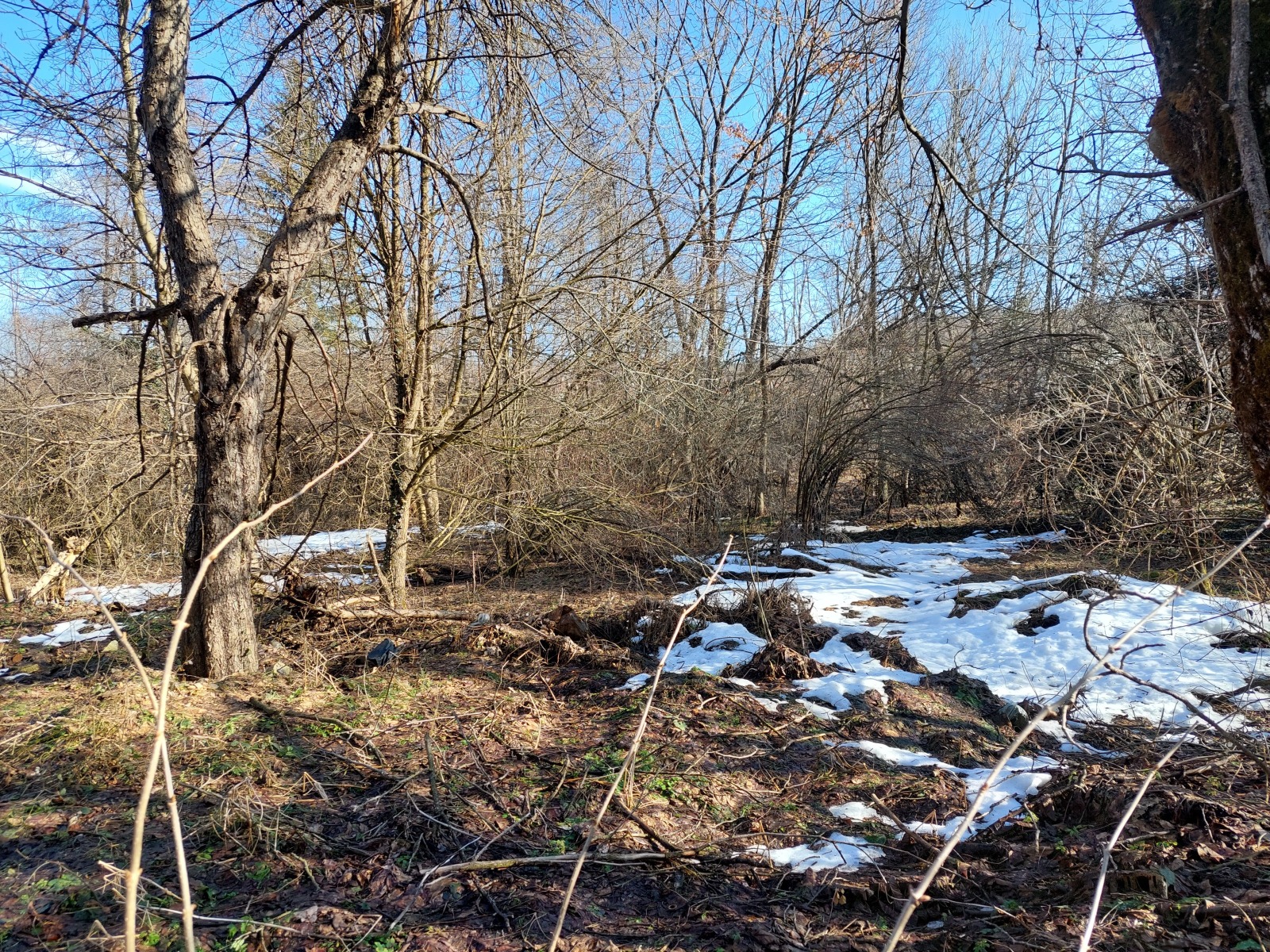 Продава ПАРЦЕЛ, с. Кметовци, област Габрово, снимка 2 - Парцели - 52602868