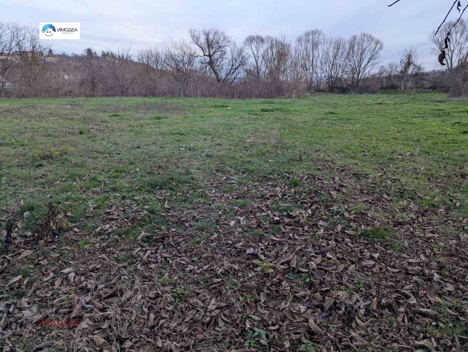 Продава ПАРЦЕЛ, гр. Дебелец, област Велико Търново, снимка 2 - Парцели - 52632438