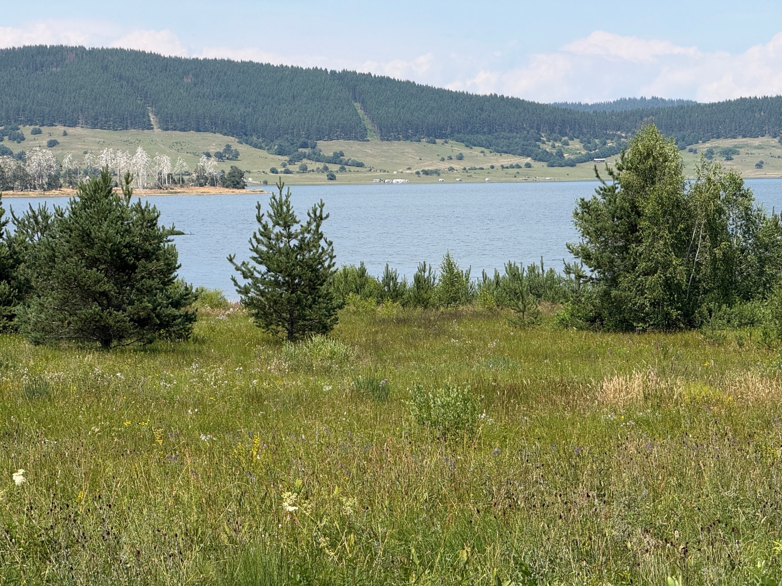 Продава ПАРЦЕЛ, м-т Цигов чарк, област Пазарджик