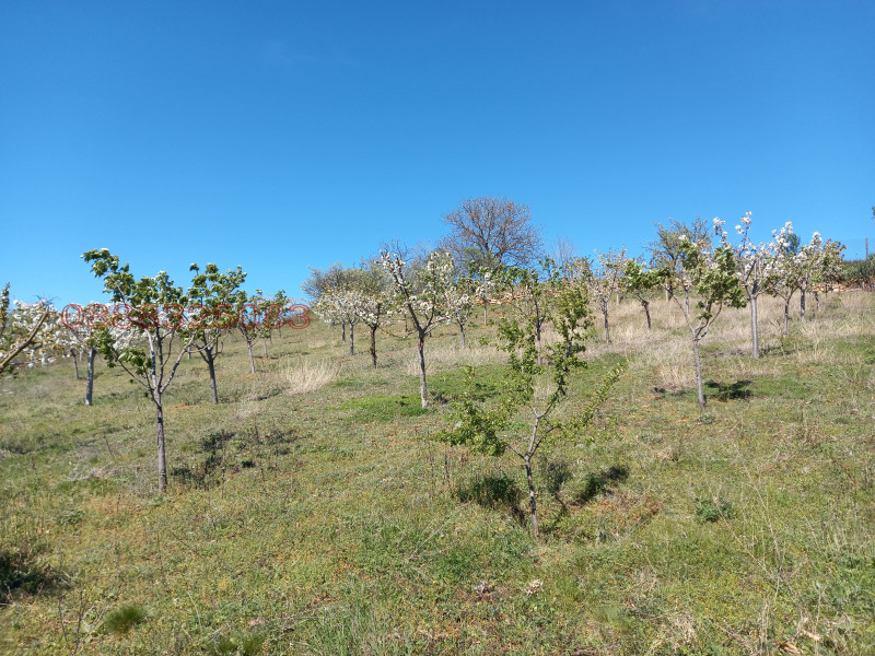 Продава ПАРЦЕЛ, с. Крайници, област Кюстендил, снимка 2 - Парцели - 52779832