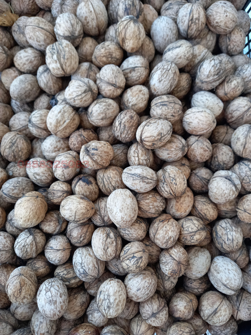 Продава ПАРЦЕЛ, с. Крайници, област Кюстендил, снимка 14 - Парцели - 52779832