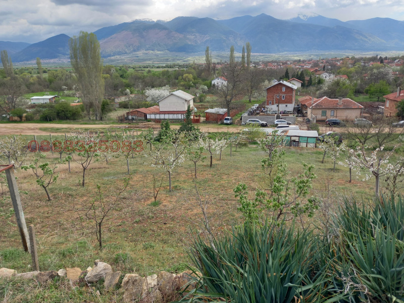 Продава ПАРЦЕЛ, с. Крайници, област Кюстендил, снимка 4 - Парцели - 52779832