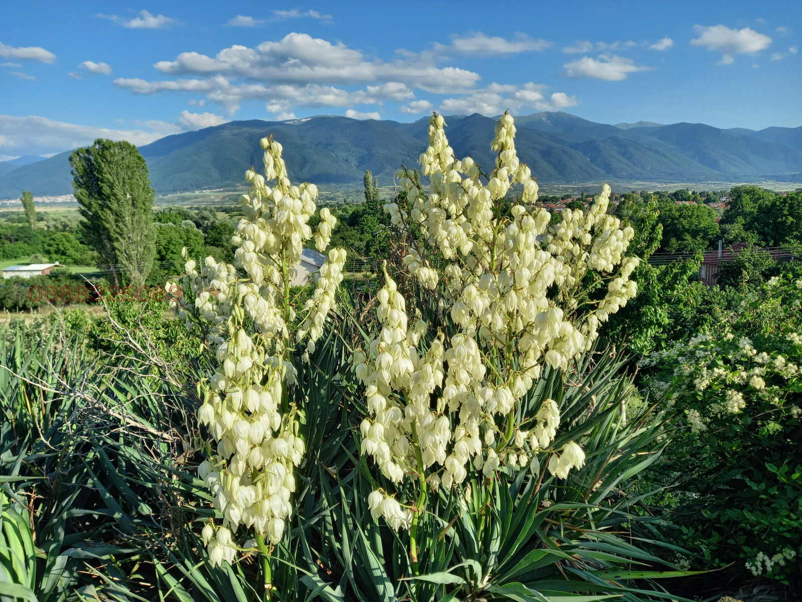 Продава ПАРЦЕЛ, с. Крайници, област Кюстендил, снимка 12 - Парцели - 54193483