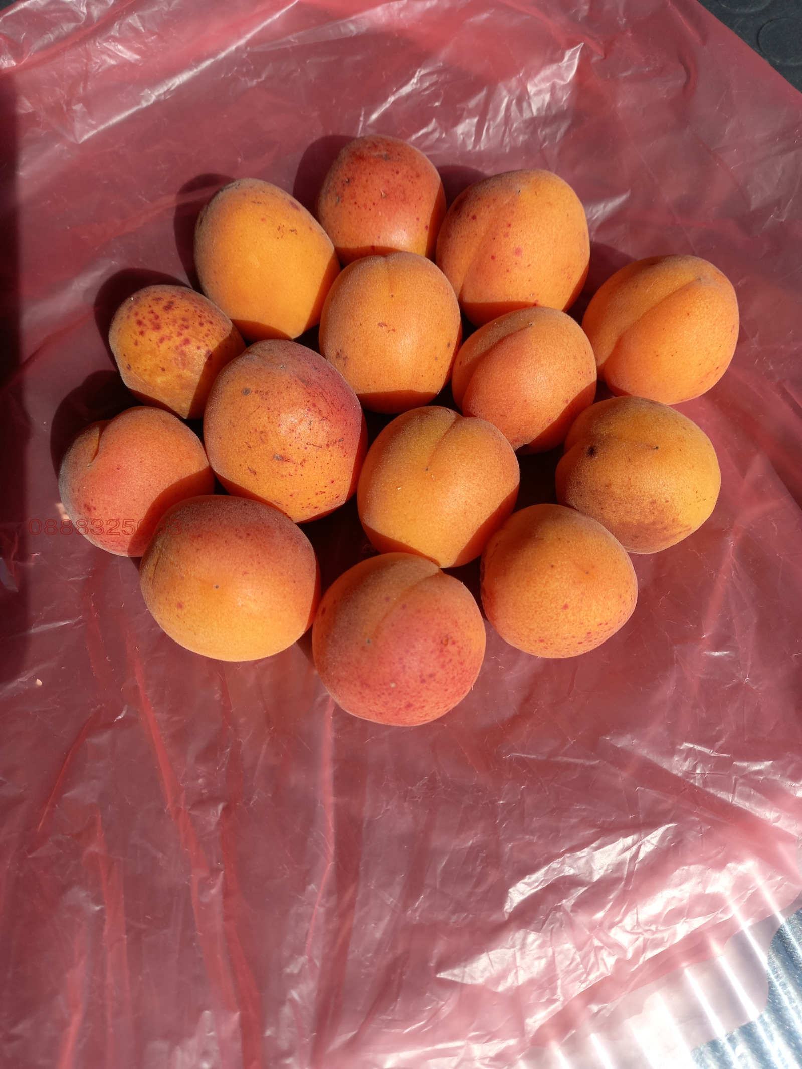 Продава ПАРЦЕЛ, с. Крайници, област Кюстендил, снимка 11 - Парцели - 54193483