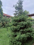 Продава КЪЩА, град София, Бенковски • 449000 € • 84424990 — Holmes.bg