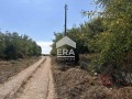 Продава ПАРЦЕЛ, област Варна, с. Житница • 12000 € • 42588843 — Holmes.bg