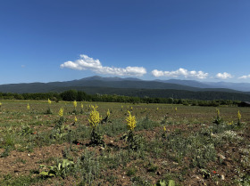 Działka Razlog, region Błagojewgrad