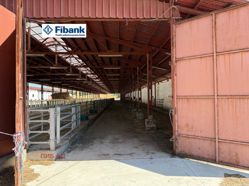 Продава БИЗНЕС ИМОТ, с. Капитан Димитриево, област Пазарджик, снимка 8 - Други - 52480967