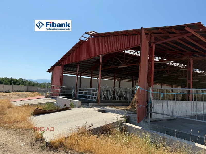 Продава БИЗНЕС ИМОТ, с. Капитан Димитриево, област Пазарджик, снимка 12 - Други - 52480967