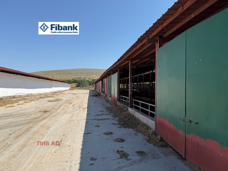 Продава БИЗНЕС ИМОТ, с. Капитан Димитриево, област Пазарджик, снимка 6 - Други - 52480967