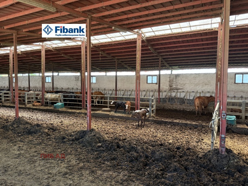 Продава БИЗНЕС ИМОТ, с. Капитан Димитриево, област Пазарджик, снимка 7 - Други - 52480967