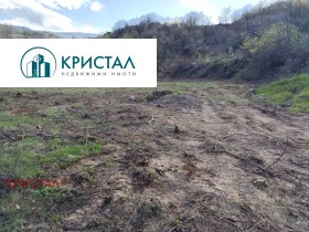 ������ ������� ������