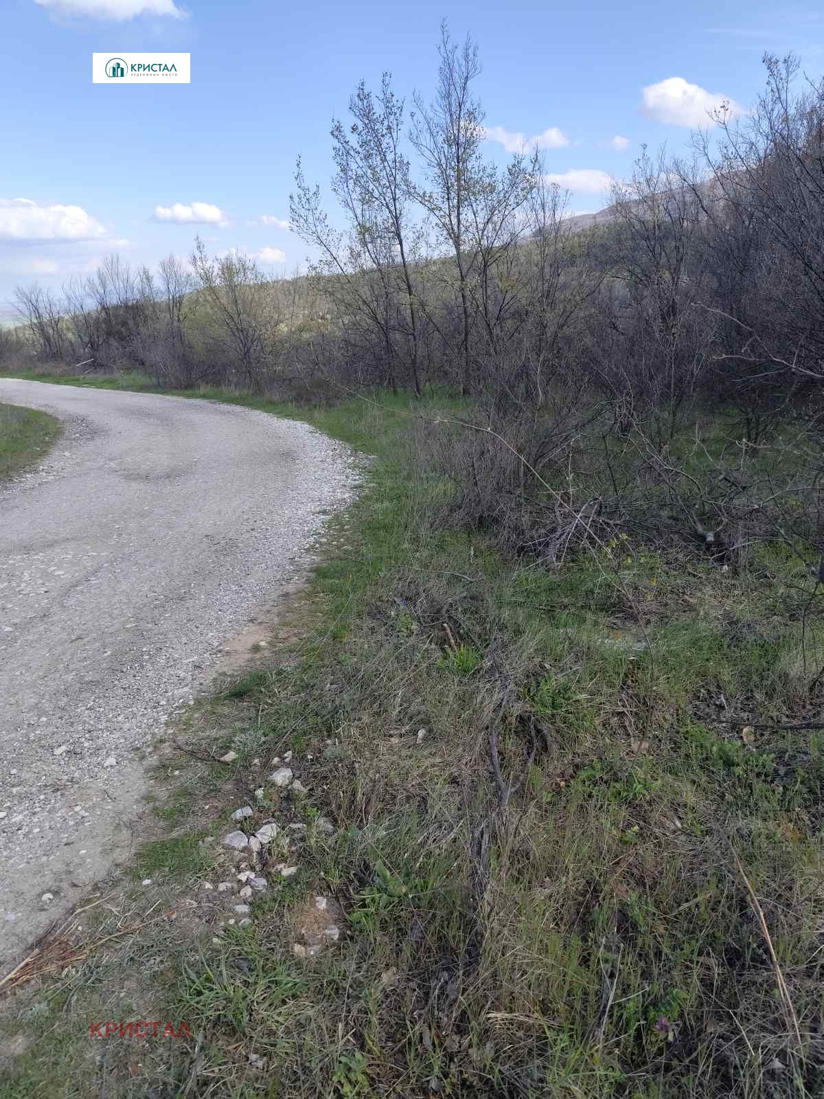 Продава ПАРЦЕЛ, с. Руен, област Пловдив, снимка 3 - Парцели - 54196022