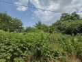 Продава ПАРЦЕЛ, с. Козаревец, област Велико Търново, снимка 7