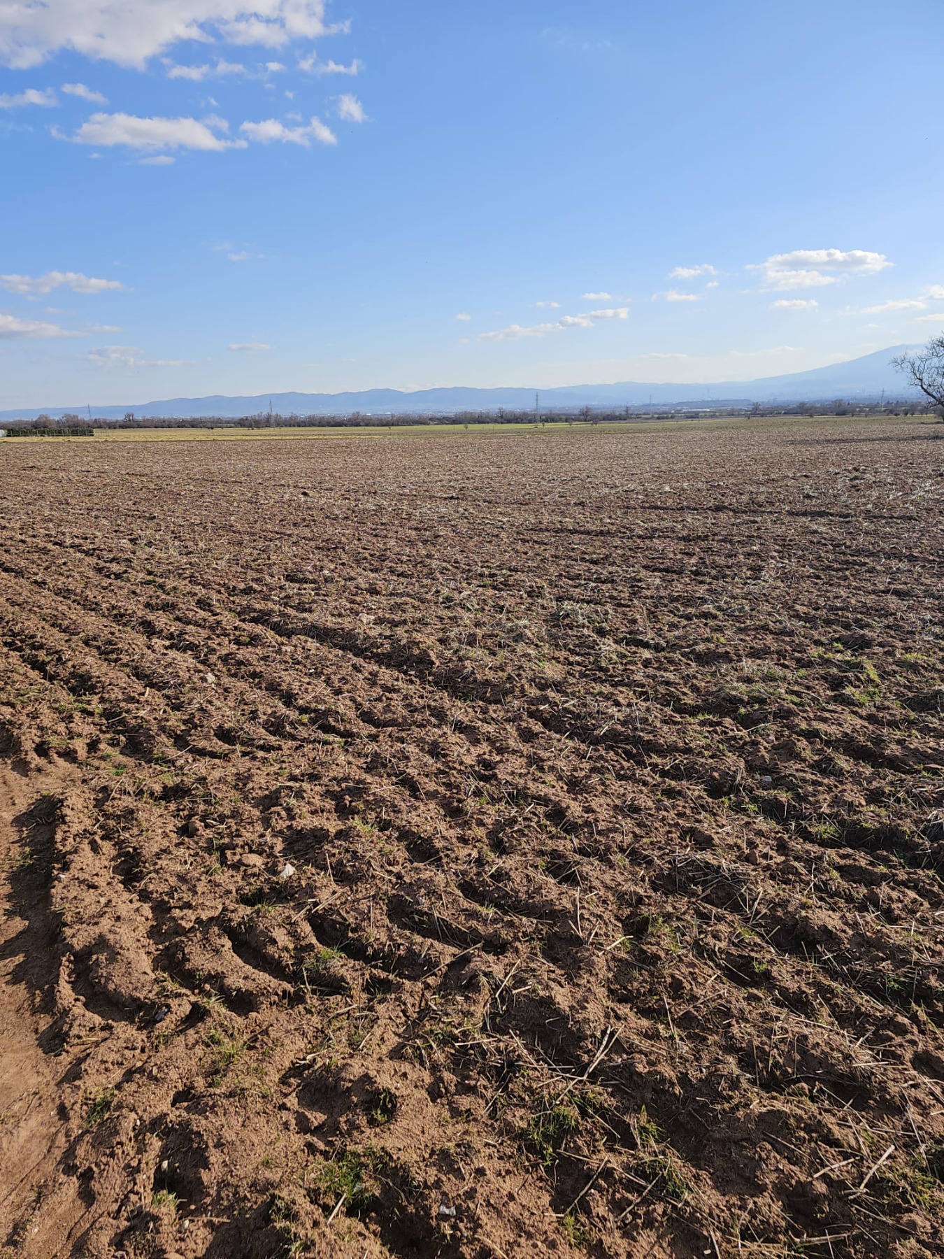 ������� ���������� ���� | Imot.bg � ����������� 4