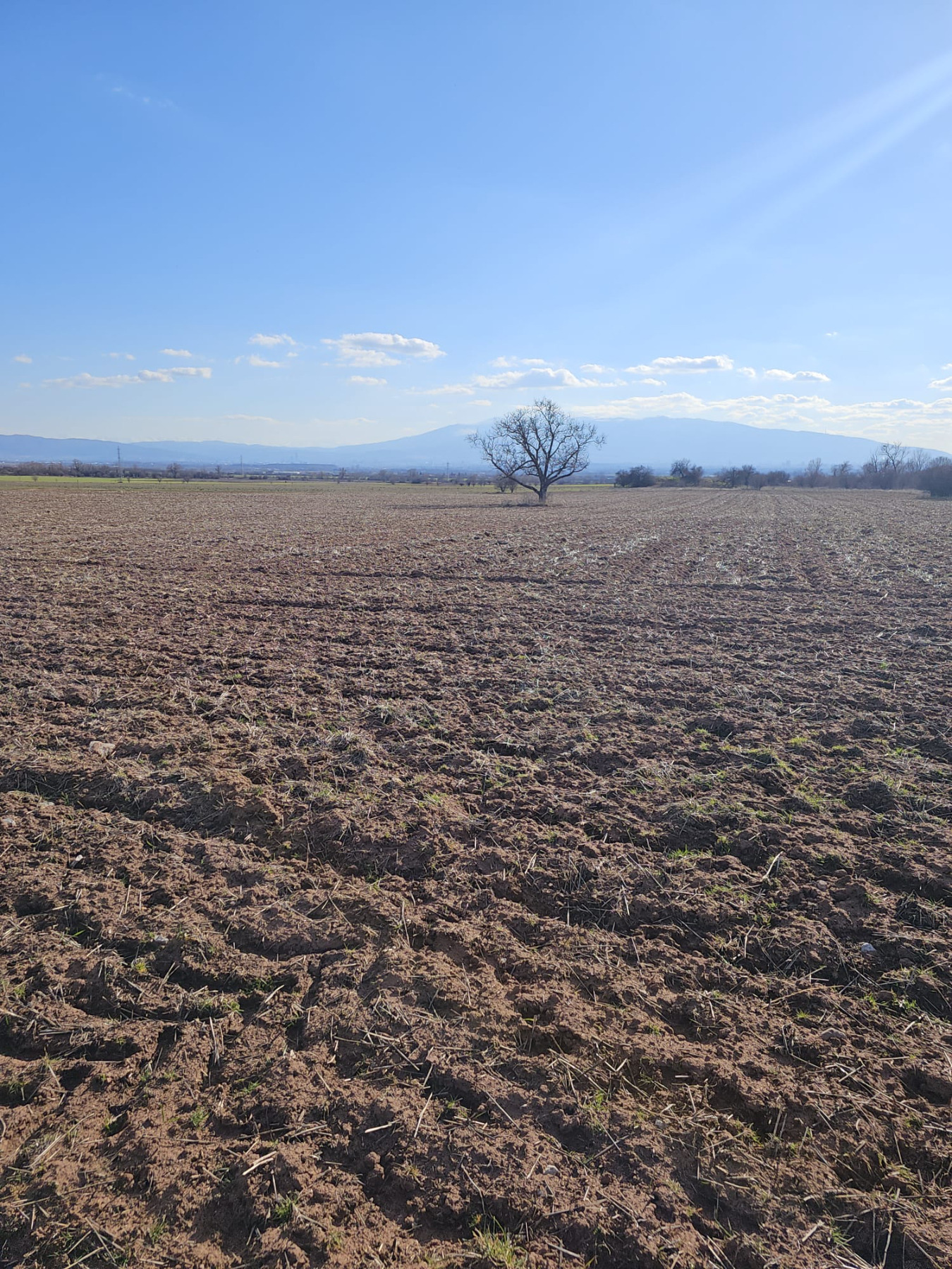 ������� ���������� ���� | Imot.bg � ����������� 5