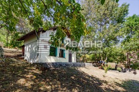 ����� ������� ������,���� �����, �������