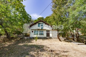 ����� ������� ������,���� �����, �������