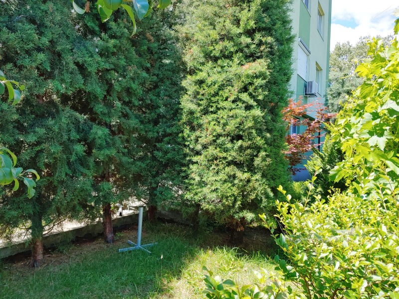 Na sprzedaż  Studio Sofia , Owcza kupel , 35 mkw | 76904249 - obraz [7]