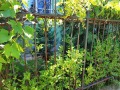 Продава 1-СТАЕН, град София, Овча купел • 109000 € • 21332872 — Holmes.bg