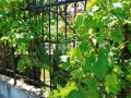 Продава 1-СТАЕН, град София, Овча купел • 109000 € • 21332872 — Holmes.bg