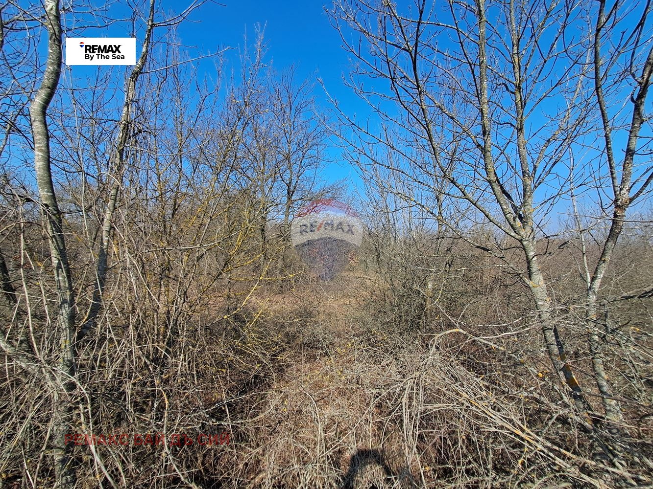 ������� ������ | Imot.bg � ����������� 13