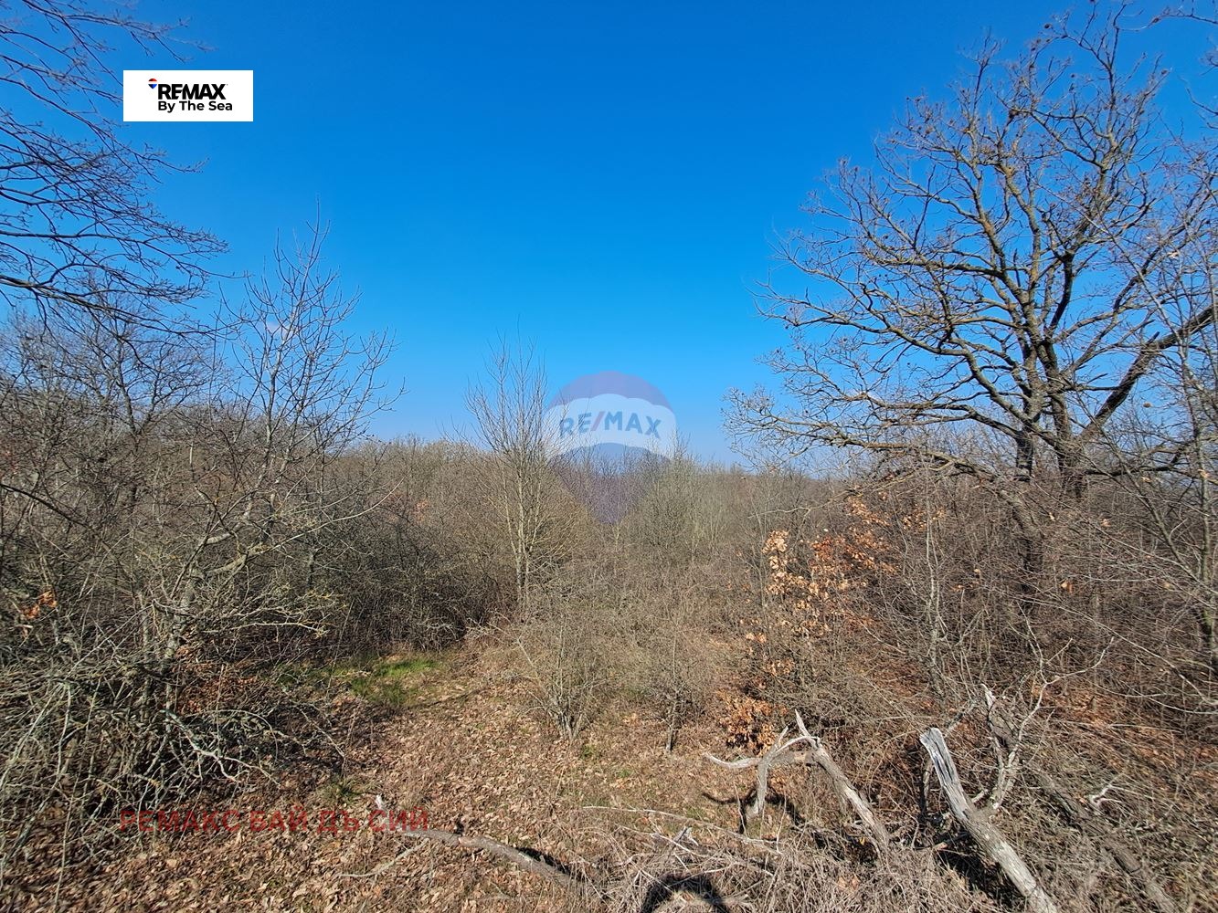 ������� ������ | Imot.bg � ����������� 8