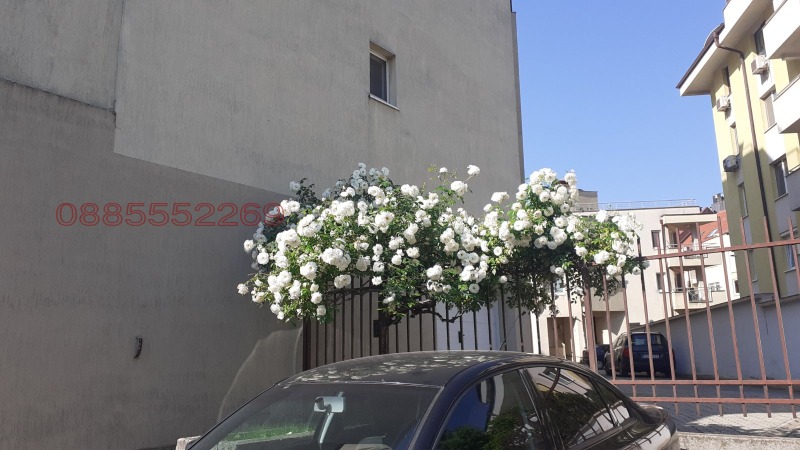 À vendre  1 chambre Sofia , Manastirski livadi , 80 m² | 40459301 - image [2]