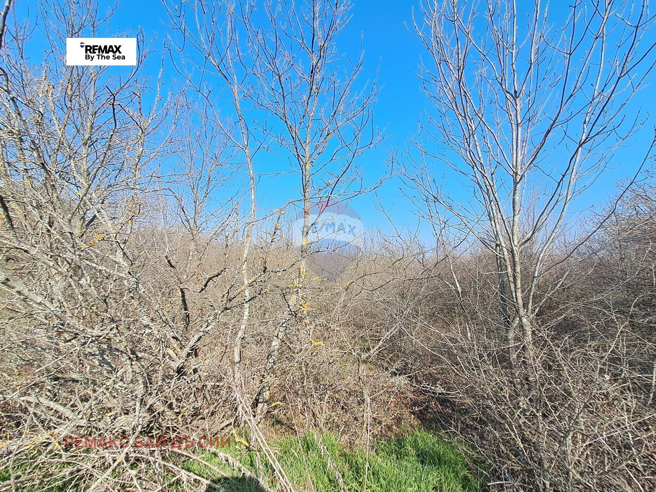 Продава ПАРЦЕЛ, гр. Варна, м-т Перчемлията, снимка 14 - Парцели - 53857967