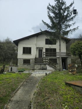 ����� ������� ����,�. �����, ������ �����