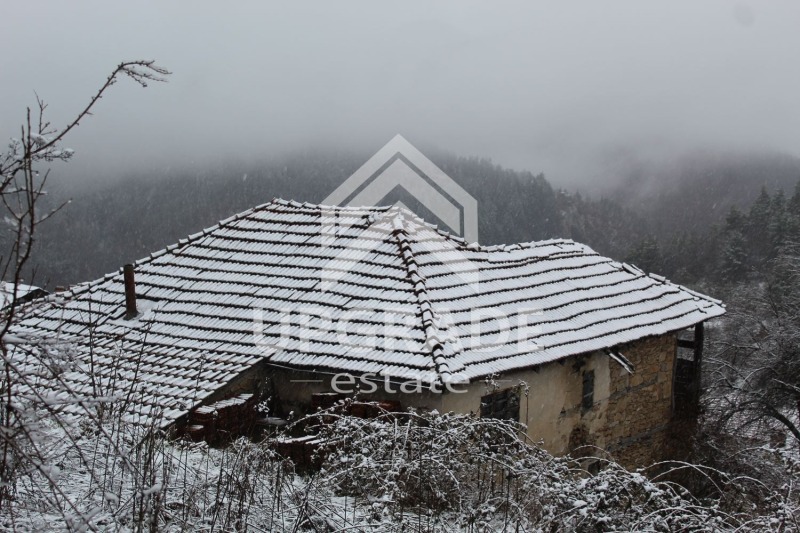 Продава КЪЩА, с. Лещак, област Смолян, снимка 3 - Къщи - 53595183