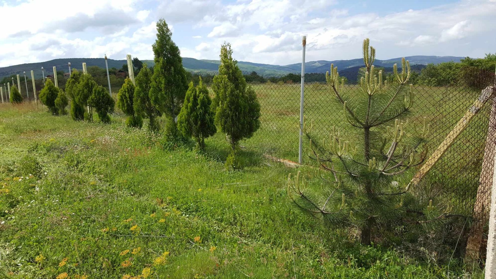 Продава ЗЕМЕДЕЛСКА ЗЕМЯ, с. Логодаж, област Благоевград, снимка 3 - Земеделска земя - 54345259