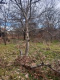 Продава КЪЩА, с. Златосел, област Пловдив, снимка 2