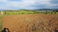 Продава ЗЕМЕДЕЛСКА ЗЕМЯ, с. Логодаж, област Благоевград, снимка 7