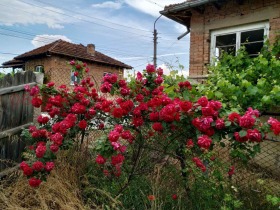 ������� ���� | Imot.bg � ����� ������ 2